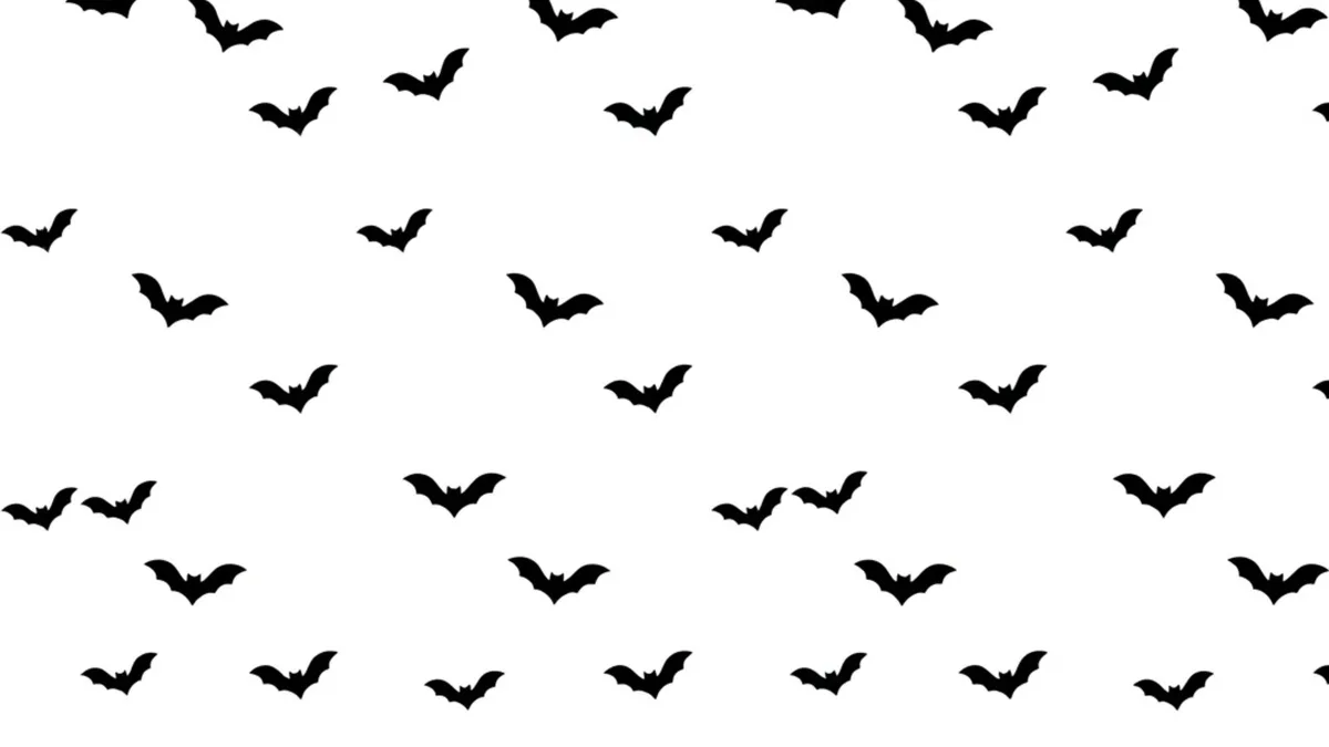 Bat Print Frame TV sign — a minimalist pattern of black bat silhouettes scattered across a white background